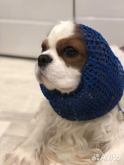 Шапка снуд для собак (спаниелей)