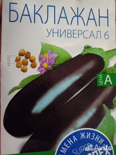 Рассада баклажан