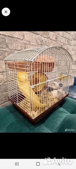 Джунгарский хомяк с клеткой