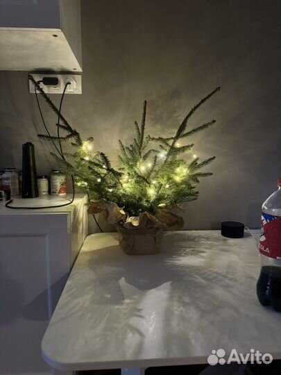 Ветки для новогоднего декора