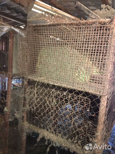 Клетки для нутрий, кроликов, кур