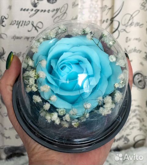 Роза в колбе