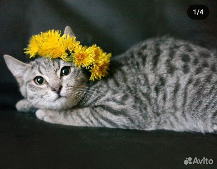 Селена 4 месяца