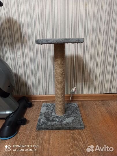 Когтеточка для кошек