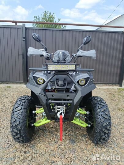 Hammer 200