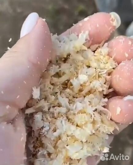 Опилки сухие в брикетах