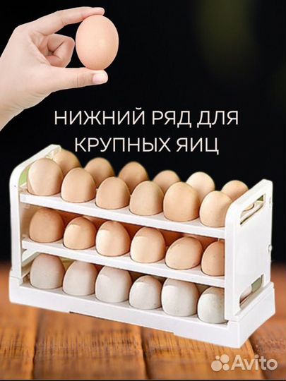 Лотки для яиц
