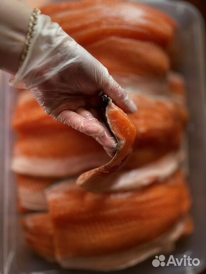 Радужная форель