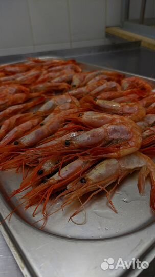 Рыба и морепродукты