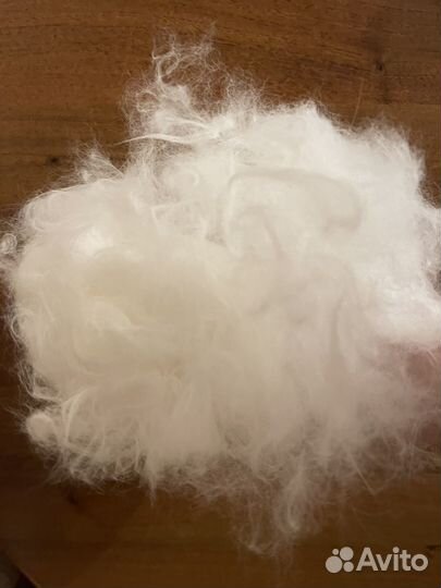 Шерсь кошачья