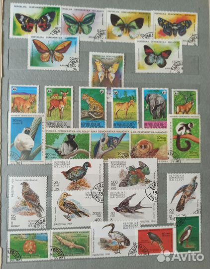 Почтовые марки Фауна