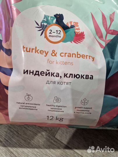 Сухой корм для котят