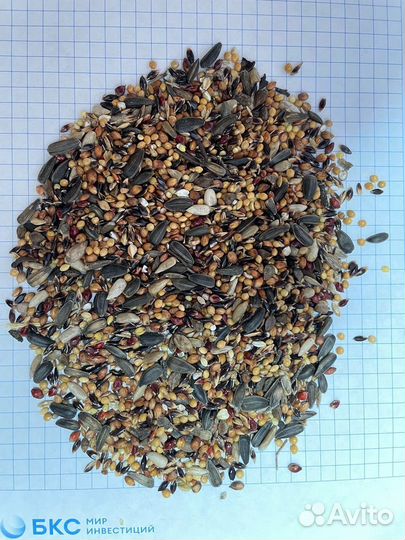 Корма для лесных птиц