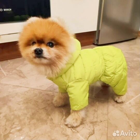 Комбинезон для собачки унисекс, M, новый