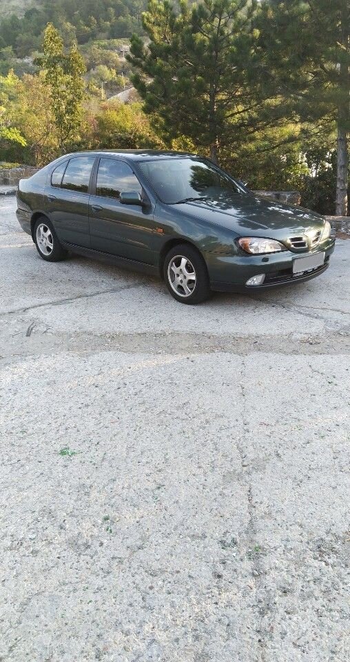 Nissan Primera: фото владельца