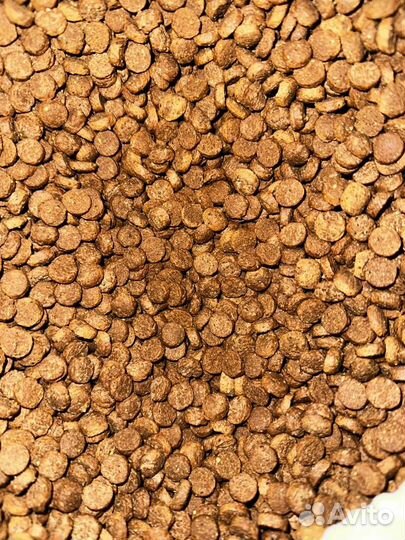 Производство сухого корм для собак и кошек для стм