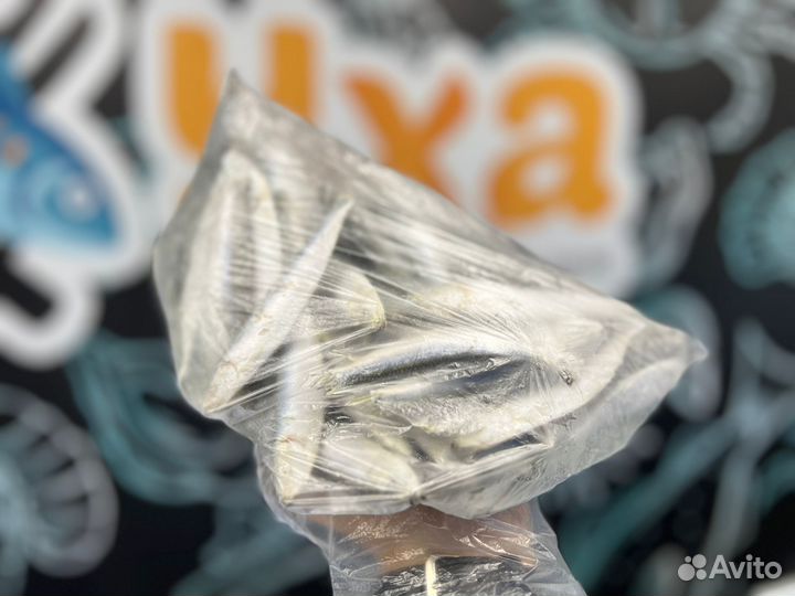 Рыба мойва, килька, салака. Доставка по городу