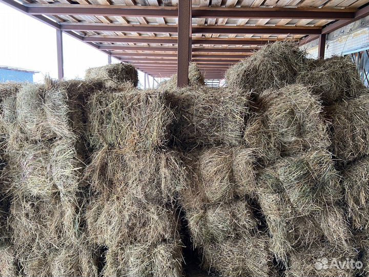 Сено в тюках опт и розница