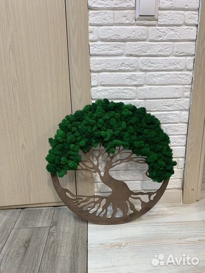 Подвесные сады вертикальное озеленение