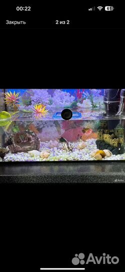 Аквариум с рыбками