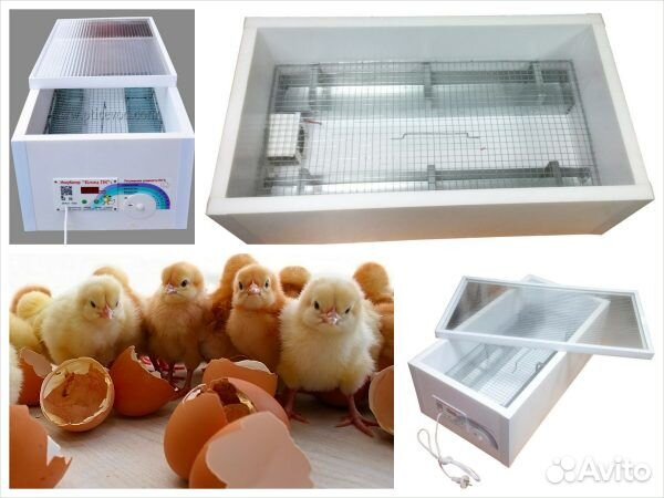 Инкубатор «блиц рио» 90 яиц выводной