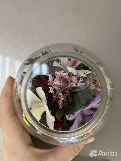 Цветы живые в стекле, орхидеи