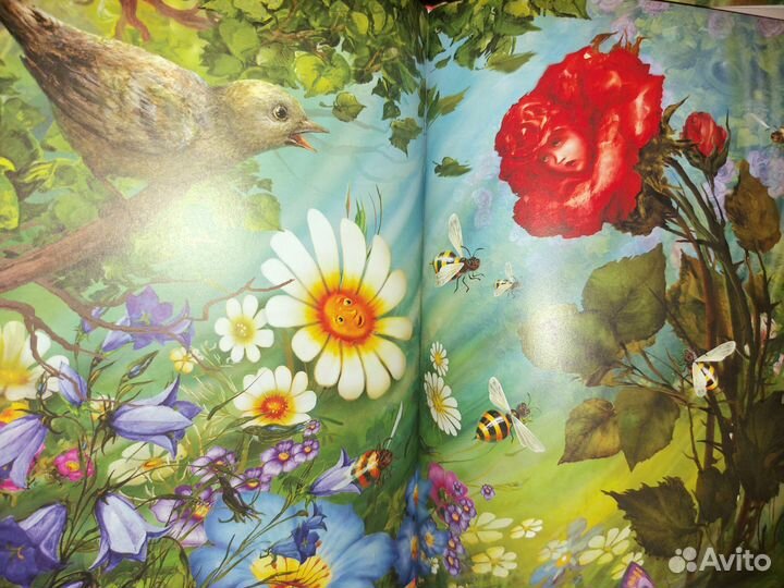 Детские книги с реалистичными картинками