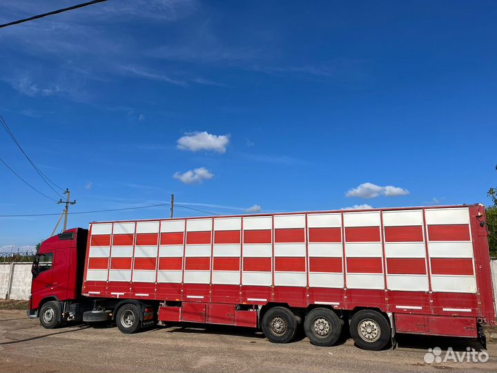 Полуприцеп для перевозки скота Pezzaioli SBA63, 2013