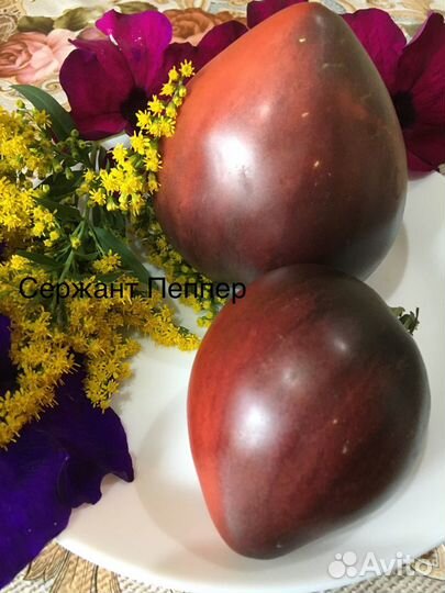 Семена коллекционных томатов