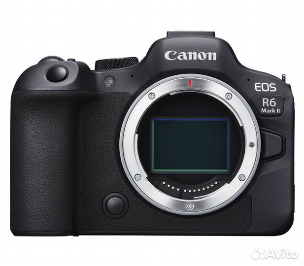 Canon R6 Mark II Body