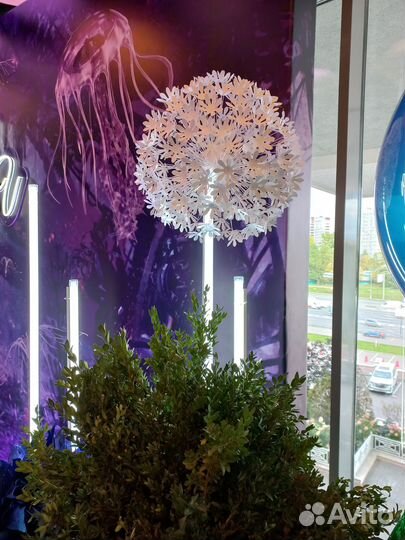 Белые шары для фотозоны