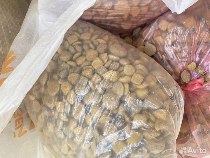 Корм для собак и кошек