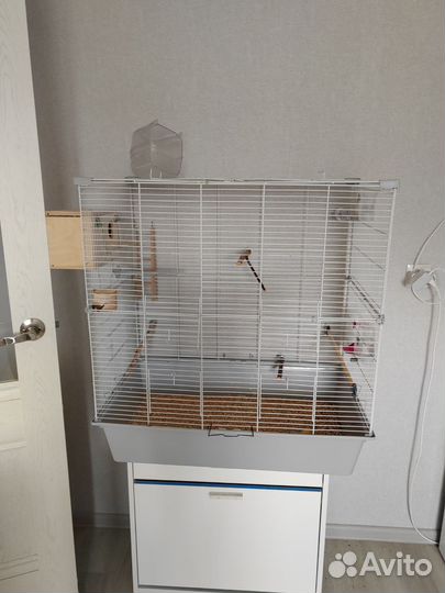 Большая клетка для птиц бу