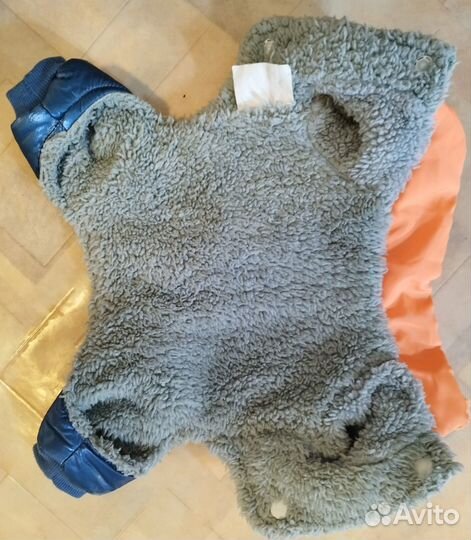 Одежда для собак мелких пород