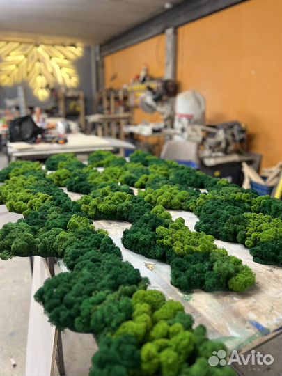 Стабилизированный мох панно