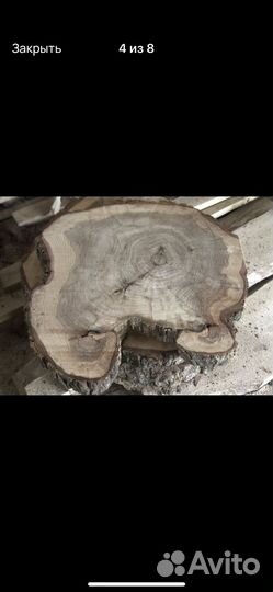 Слэб из тополя