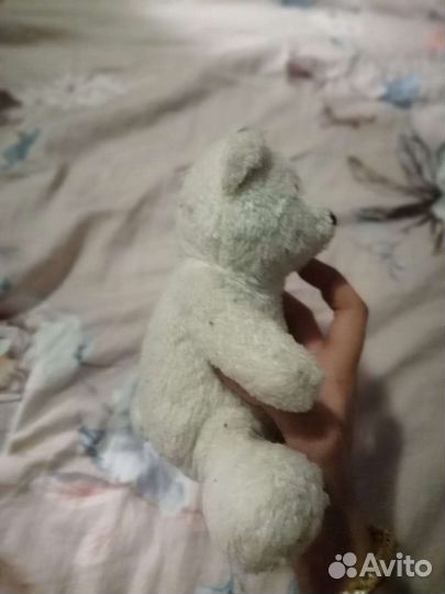 Медвежонок белый