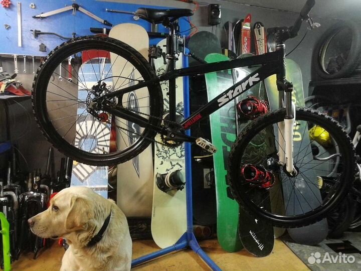 Спорт Сервис ride