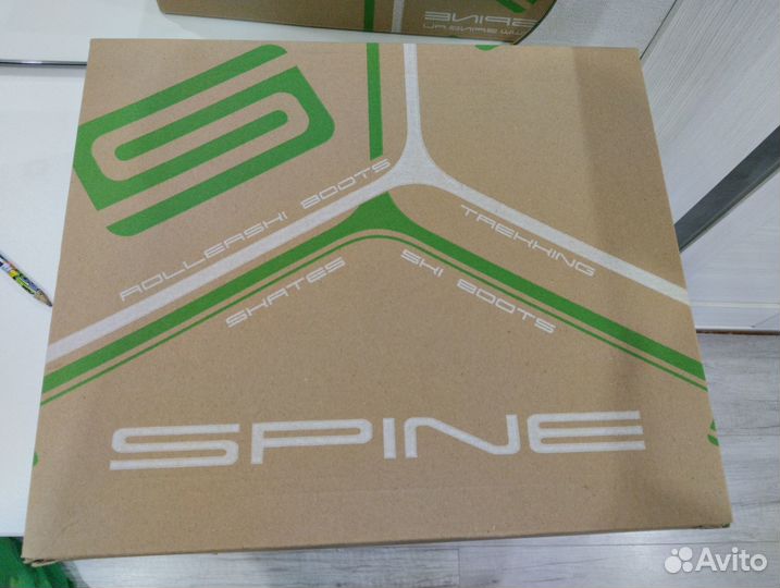 Лыжные ботинки spine concept