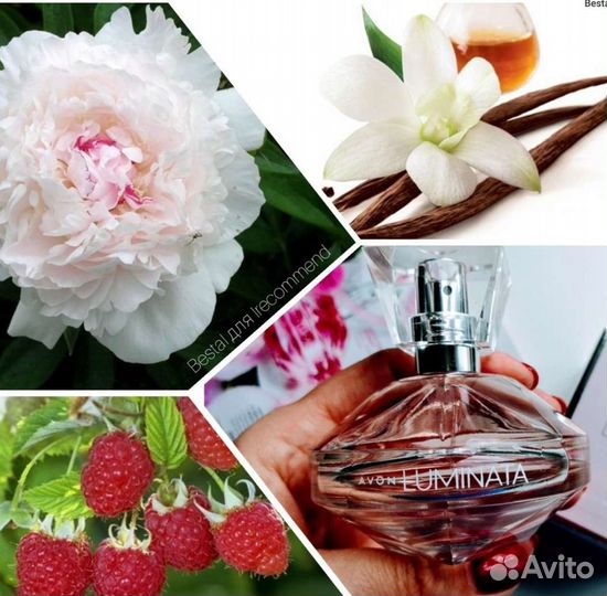 Сasmir, Luck, Lattafa, S Woman, Burberry