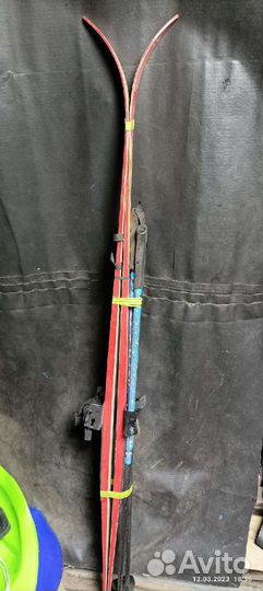 Беговые лыжи