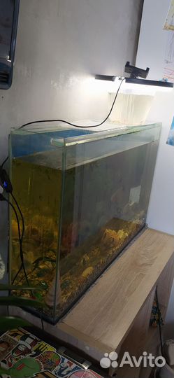 Аквариум