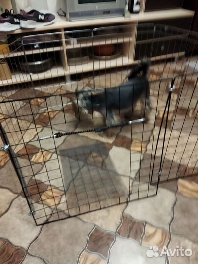 Вольер для собак