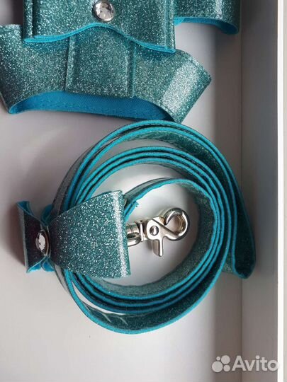 Ошейник и поводок