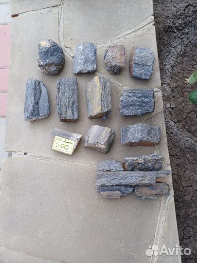 Окаменелое дерево