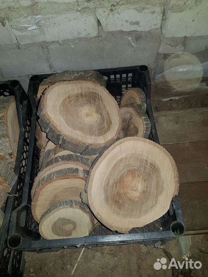 Спилы дерева