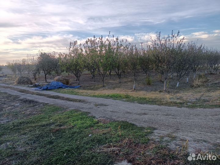 Продается сельхоз ферма