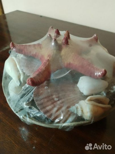 Ракушки для аквариума