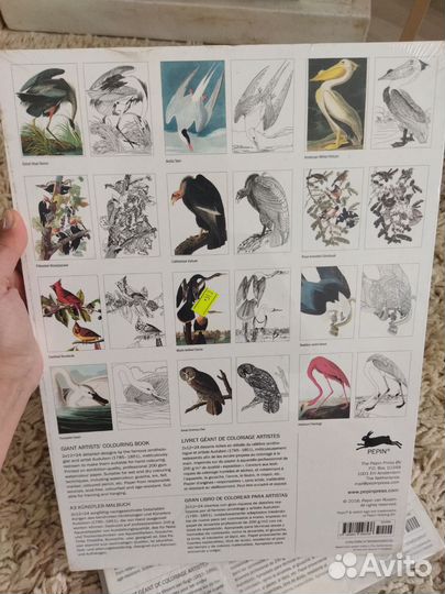 Книга- раскраска для взрослых pepin Giant Artists