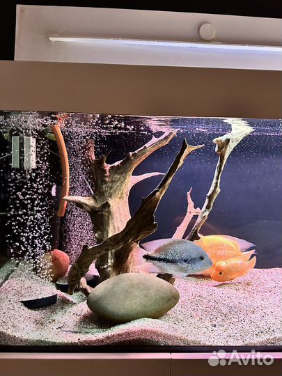 Аквариумные коряги, и принадлежности